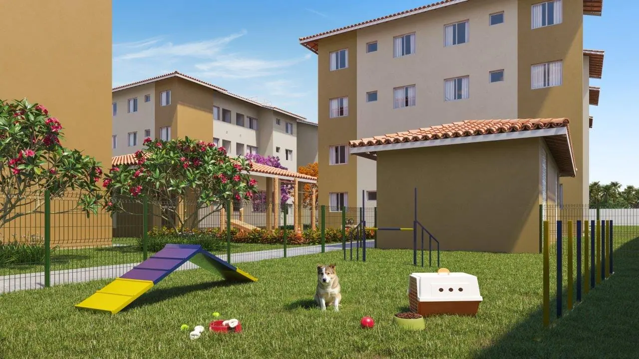 Pet park